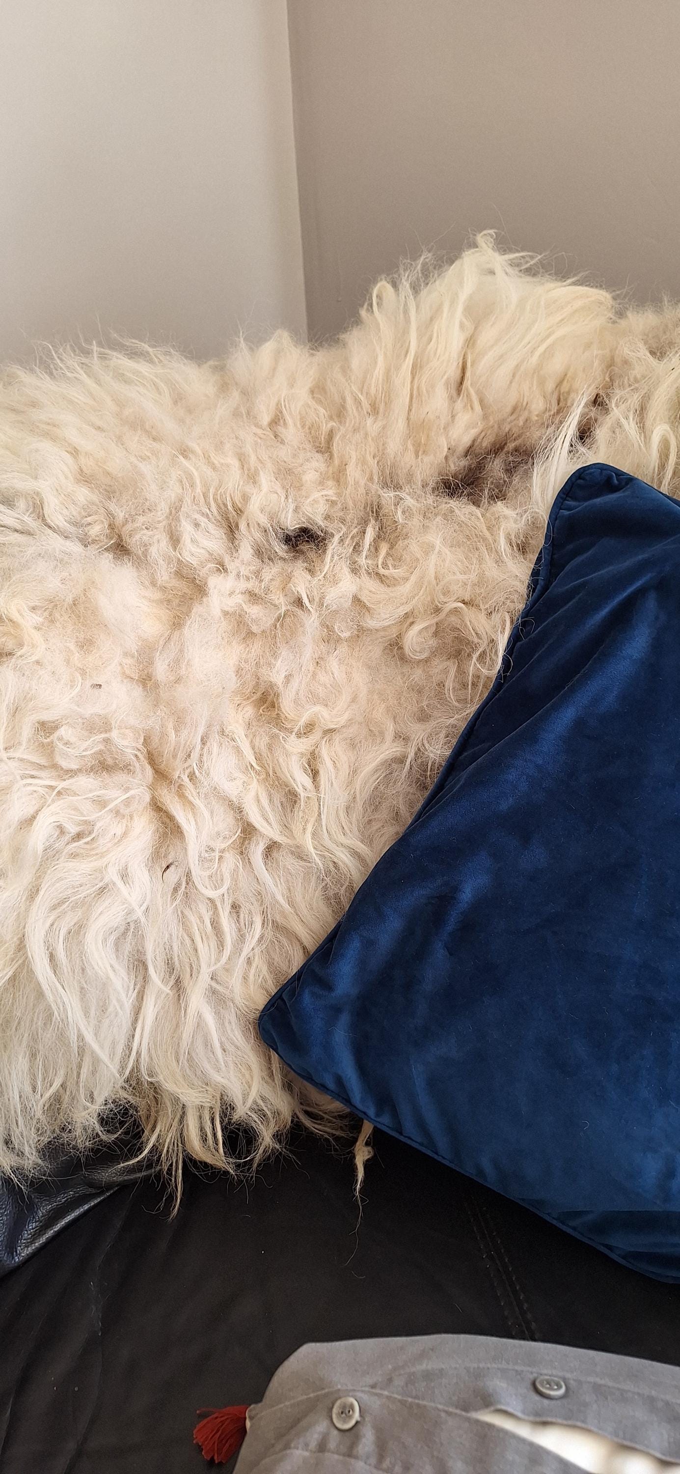 Felted rug. A rug made out a beautiful soft fleece ideal for adding warmt and texture to a sitting area or bed.