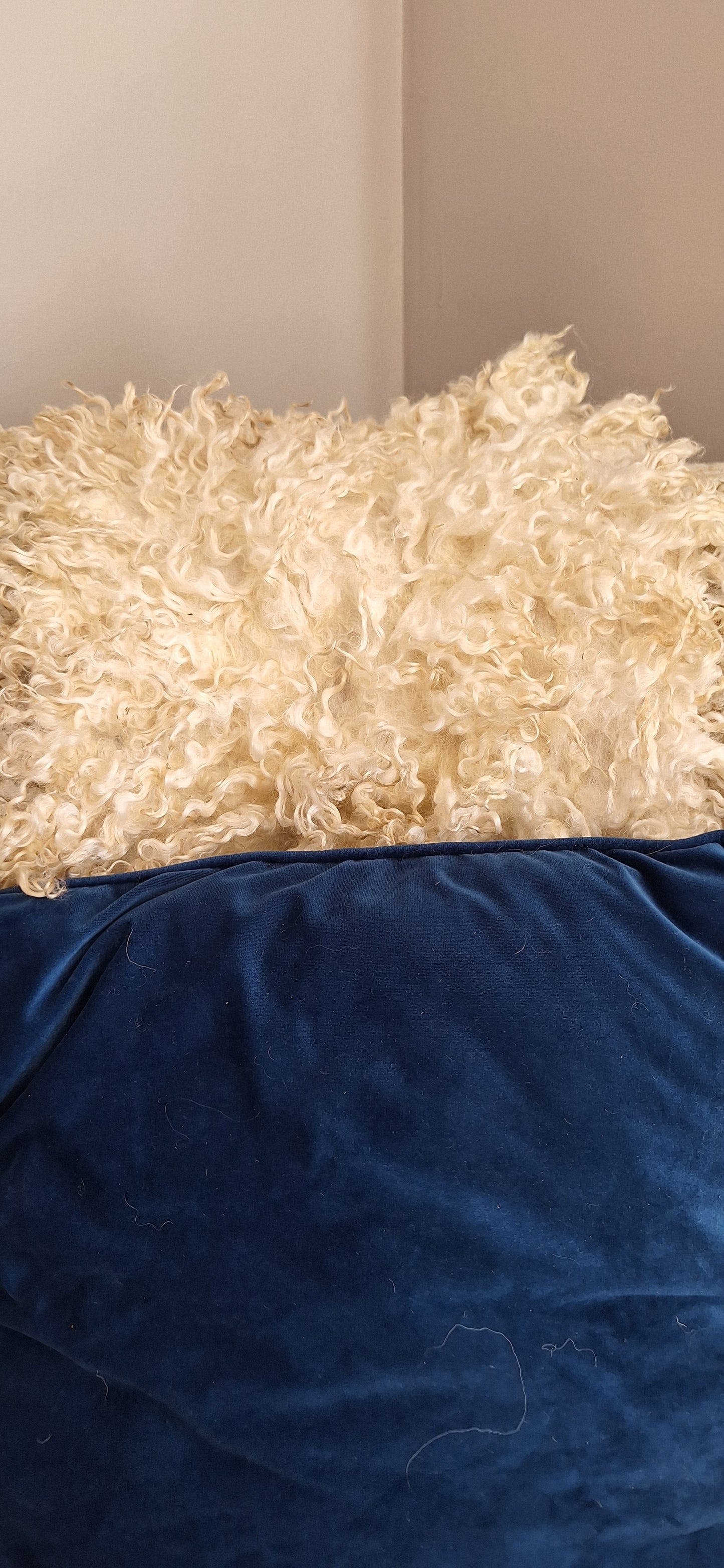 Wensleydale wool Felted rug
