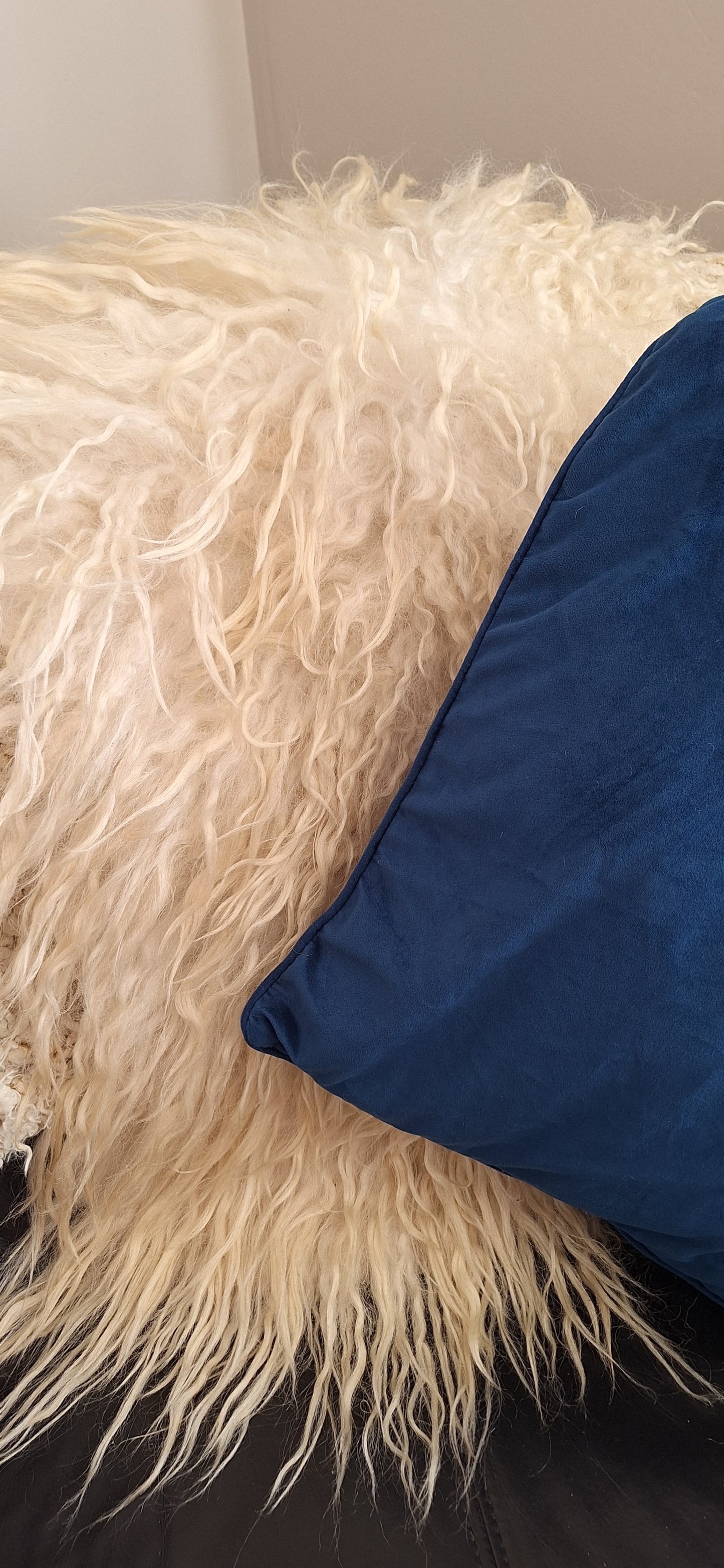Valais blacknose felted rug
